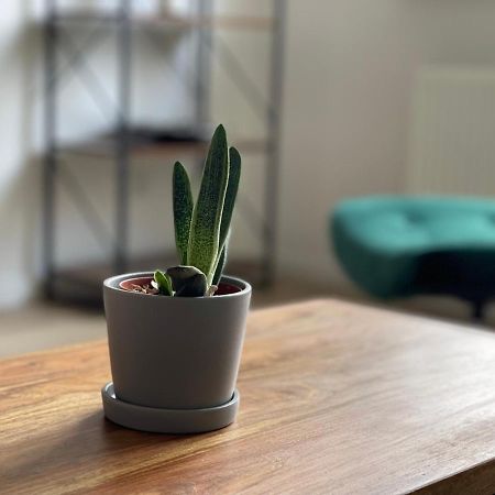 Apartament Modern * Zentral * Netflix * Arbeitsplatz Wuppertal Zewnętrze zdjęcie