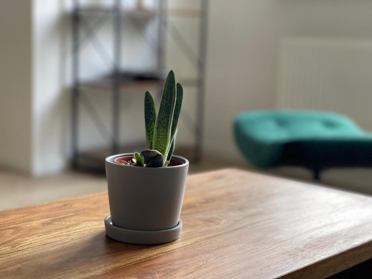 Apartament Modern * Zentral * Netflix * Arbeitsplatz Wuppertal Zewnętrze zdjęcie